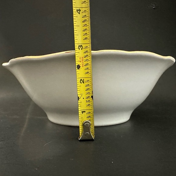 JOHANN HAVILAND Moss Rose (Bavarian Backstamp) 8" Round Vegetable Bowl VTG - Picture 7 of 11